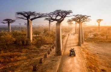 Foto: Shutterstock.com