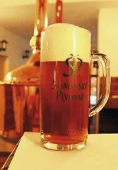 Kde se pivo vaří: pivní stezky, minipivovary a regionální piva v Česku