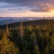 Boubín: prales a rozhledna