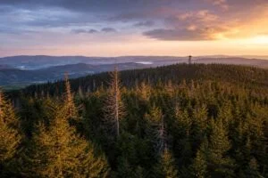 Boubín: prales a rozhledna
