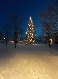 Osvětlený vánoční strom v zasněženém Božím Daru