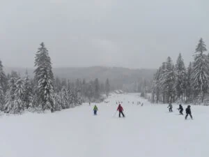 Lyžaři na zasněžené sjezdovce mezi smrky v Krkonoších