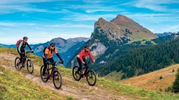 Foto: Shutterstock.com