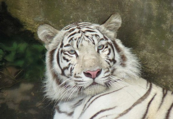 Foto: Shutterstock.com