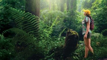 Foto: Shutterstock.com