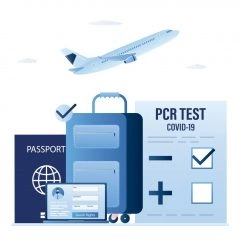 Ilustrace: Shutterstock.com